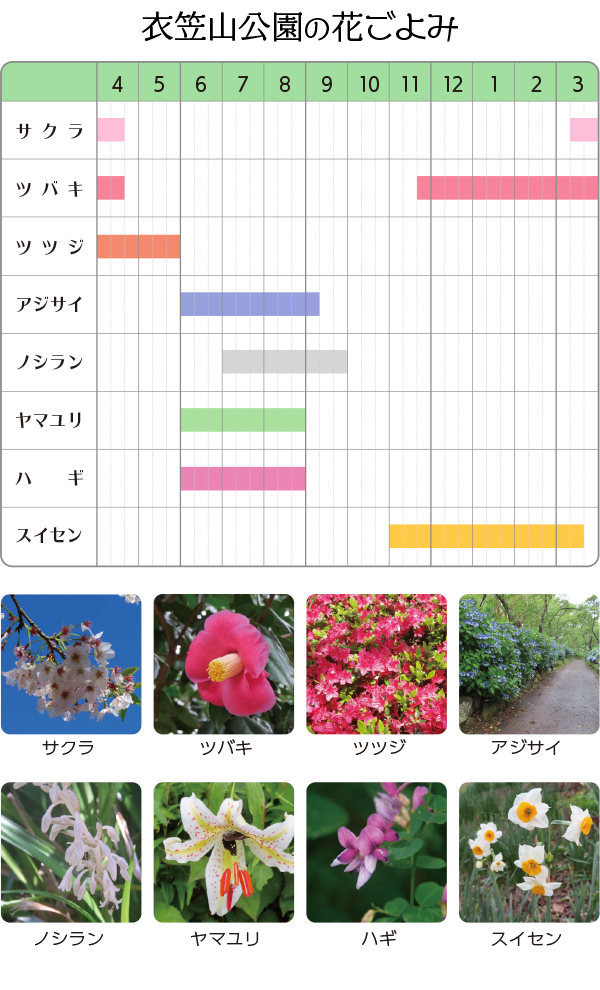 衣笠山公園花ごよみ